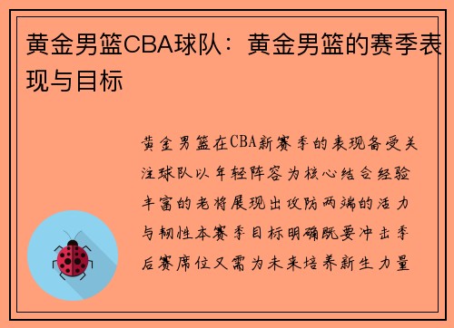 黄金男篮CBA球队：黄金男篮的赛季表现与目标